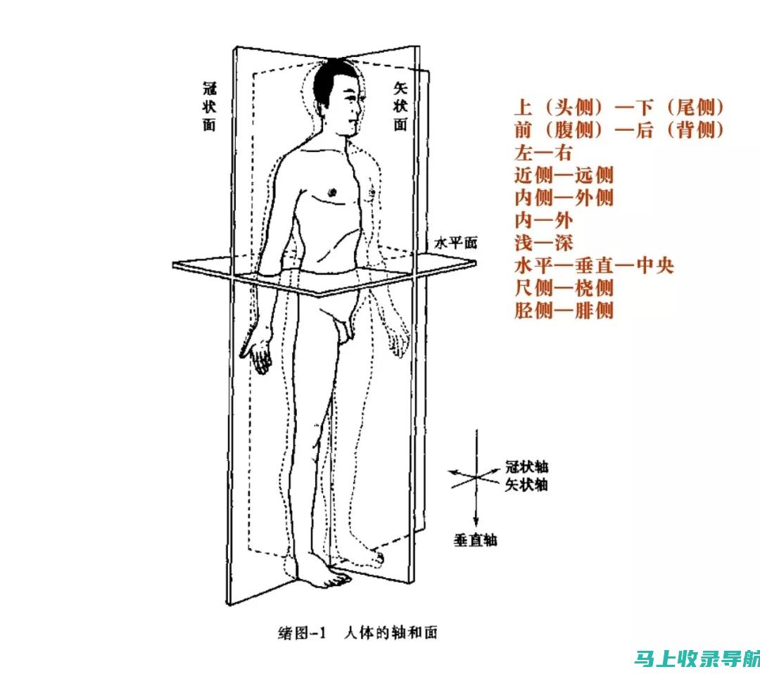 全方位解读SEO职业：搜索引擎优化的前世今生及未来走向